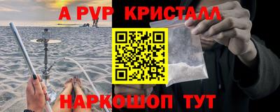 спайс Гай