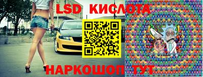 спайс Гай