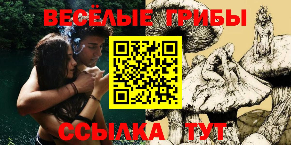 Карасук  Псилоцибиновые грибы Cubensis  Вход с VPN 
